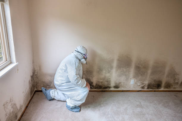 Best Crawl Space Mold Removal  in Marcellus, MI